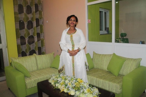 Toronto Addis Hotel image 35